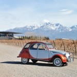 Getting Around Mendoza